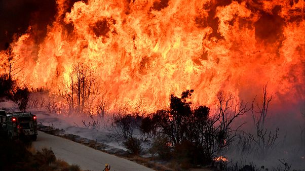 Riesige Flammen in Kalifornien: Flächenbrand breitet sich aus Riesige Flammen in Kalifornien: Flächenbrand breitet sich aus