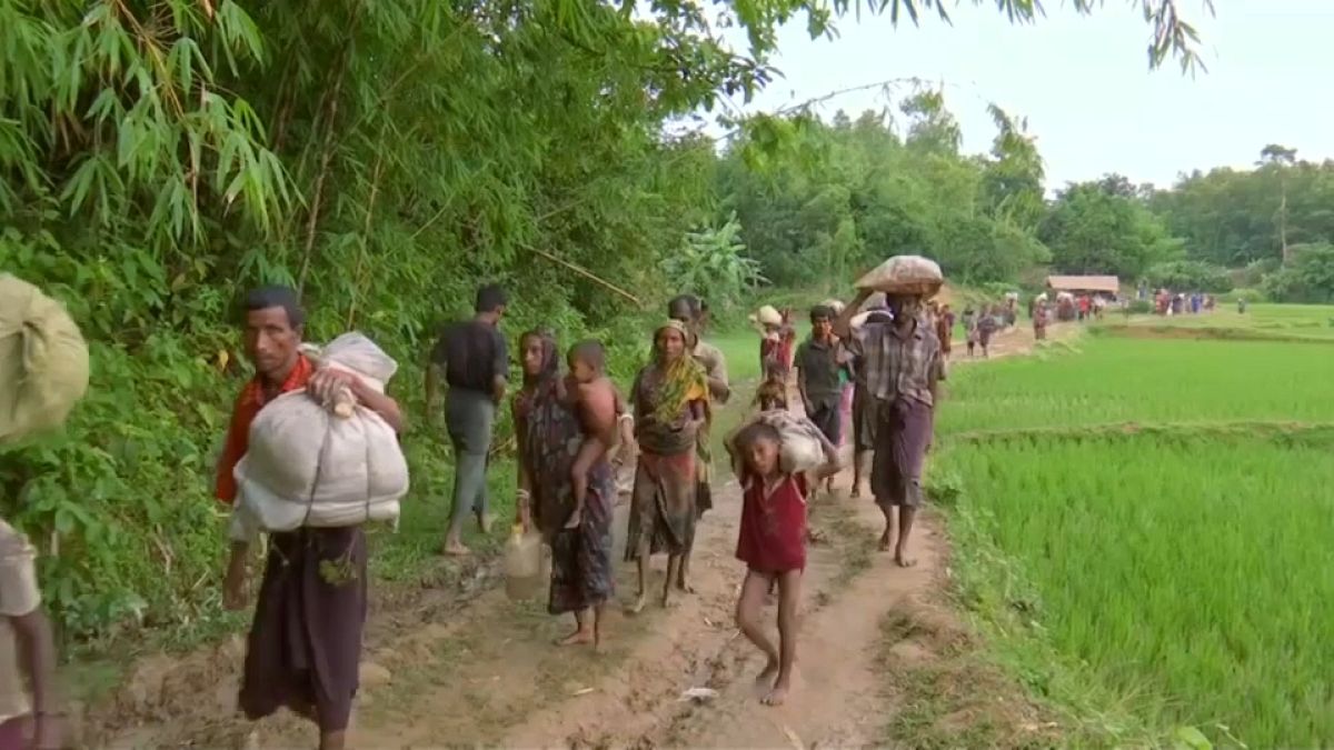 Several groups support claims of systematic rape of Rohingyas by Myanmar army