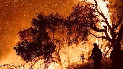 Firefighters in Carpinteria, California, USA, Dec. 10