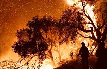 Les pompiers au contact des flammes à Carpinteria, Californie