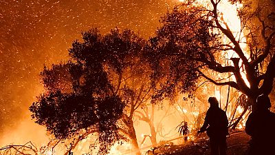 Les pompiers au contact des flammes à Carpinteria, Californie