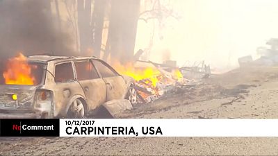 Incêndios na Califórinia ameaçam Santa Barbara