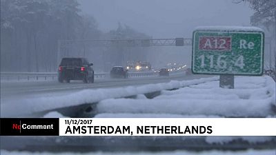 Нидерланды: снег да снег кругом