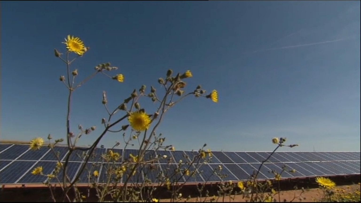 COP 21 two years on