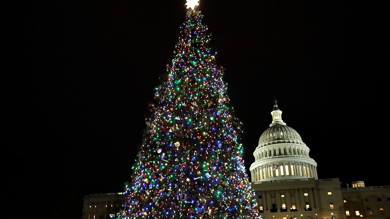 christmas tree washington