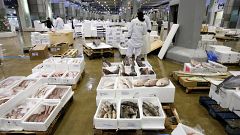 Pêche européenne : moins d'anguilles, plus de langoustines