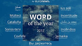 Mi volt 2017 legmeghatározóbb szava?