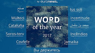 Mi volt 2017 legmeghatározóbb szava? 
