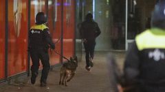 مقتل شخصين وإصابة آخرين في حادثي طعن بمدينة ماستريخت الهولندية 