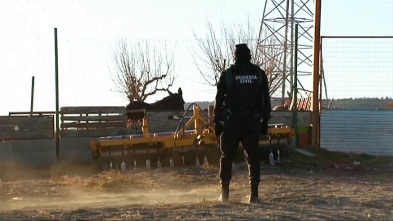 Ein Polizist am Tatort beobachtet einen Esel