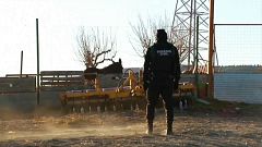 Ein Polizist am Tatort beobachtet einen Esel