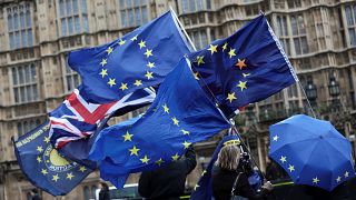 Anti-Brexit demonstrators protest outside UK parliament 