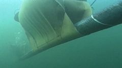 La nuova minaccia russa che arriva dalle profondità degli oceani