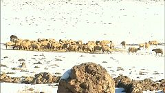 تساقط كثيف للثلوج في عدة مناطق بالمغرب