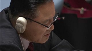 North Korea's UN Ambassador Ja Song Nam would not be browbeaten by the US