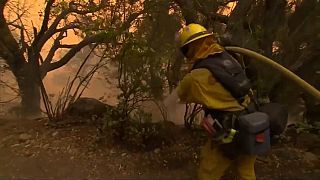 California burns as Thomas fire becomes state's third-largest