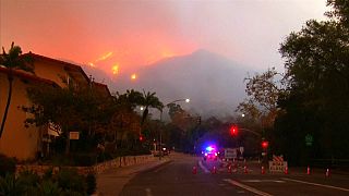 Miles de evacuados en California por el devastador incendio Thomas