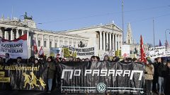 Entre 5.000 y 10.000 personas protestaron en Viena este lunes.