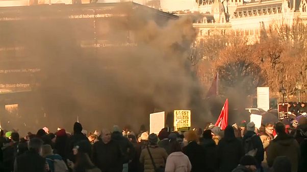 Вена: манифестация против "правительства отвращения" Вена: манифестация против "правительства отвращения"