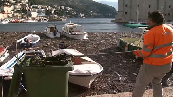 Le port de Dubrovnik envahi de déchets Le port de Dubrovnik envahi de déchets
