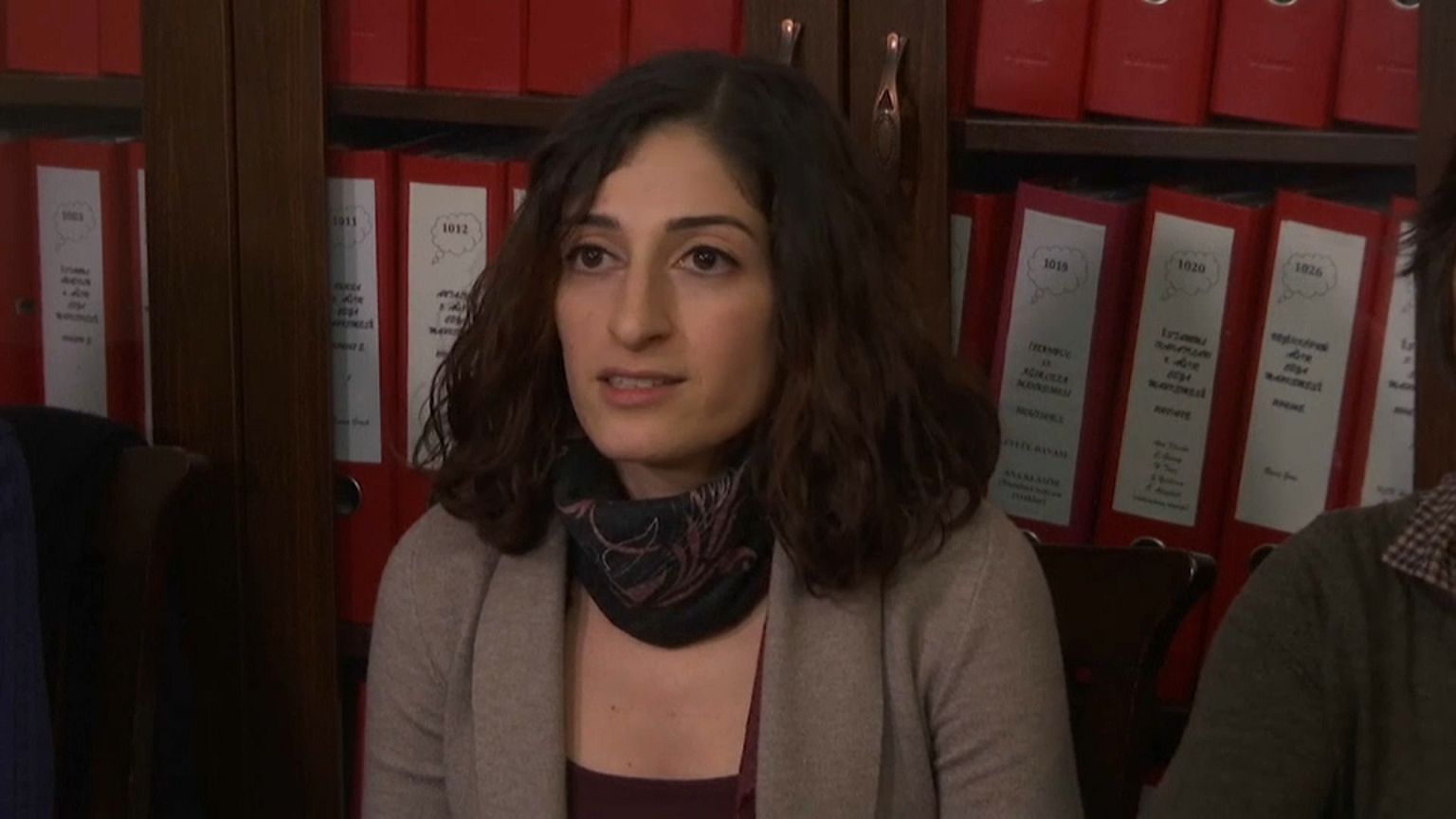 Turkey: freed German journalist denounces Ankara government