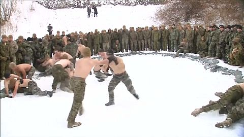 Готовы к труду и обороне