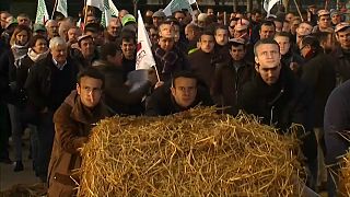 Los agricultores franceses se manifiestan contra Macron
