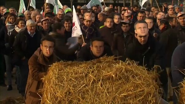 Los agricultores franceses se manifiestan contra Macron Los agricultores franceses se manifiestan contra Macron
