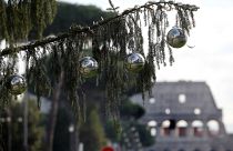 Italia: Spelacchio, l'albero di Natale più discusso...e famoso
