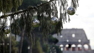 Italia: Spelacchio, l'albero di Natale più discusso...e famoso