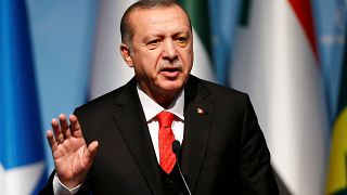 الرئيس التركي يهاجم وزير الخارجية الإماراتي