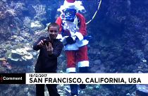 O Pai Natal 'aquático' de San Francisco