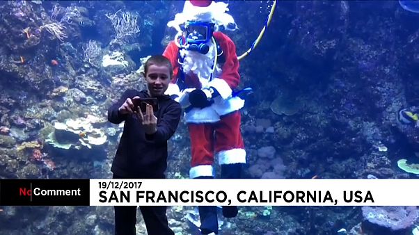 O Pai Natal 'aquático' de San Francisco O Pai Natal 'aquático' de San Francisco
