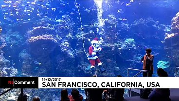 San Francisco: Hier geht der Weihnachtsmann baden