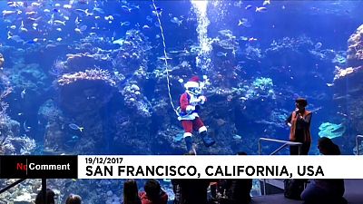San Francisco: Hier geht der Weihnachtsmann baden