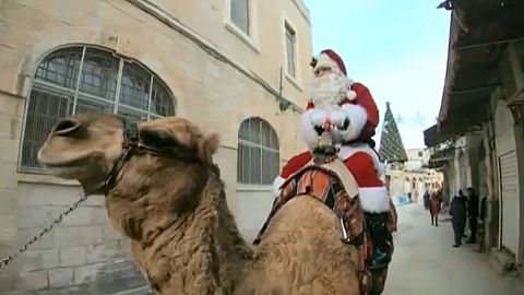 CHRISTMAS-SEASON_JERUSALEM_TREES