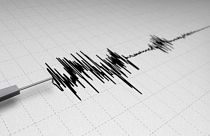 زلزلۀ کرمان؛ ۲۳ نفر مصدوم شدند