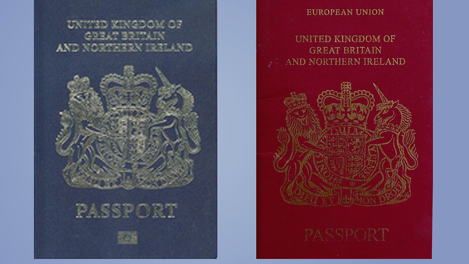 ‘Fake news!’ ‘PR stunt!’ UK blue passport plans trigger emotive row