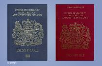 ‘Fake news!’ ‘PR stunt!’ UK blue passport plans trigger emotive row