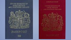 ‘Fake news!’ ‘PR stunt!’ UK blue passport plans trigger emotive row