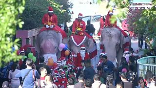 Christmas elephants visit school children in Thailand