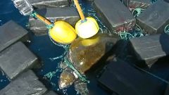 USA-COASTGUARD_TURTLE_RESCUE