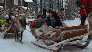Азиатские туристы едут в Лапландию
