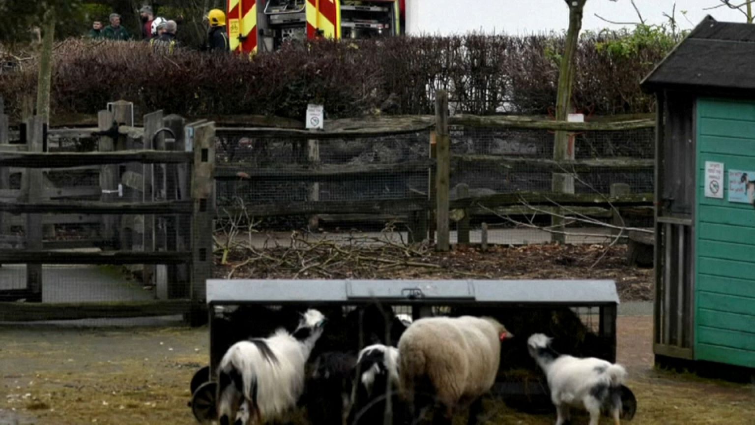 Le zoo de Londres fermé après un incendie
