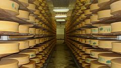 A Beaufort cellar in the French Alps