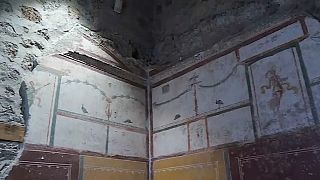 Pompei: tre domus restituite ai visitatori