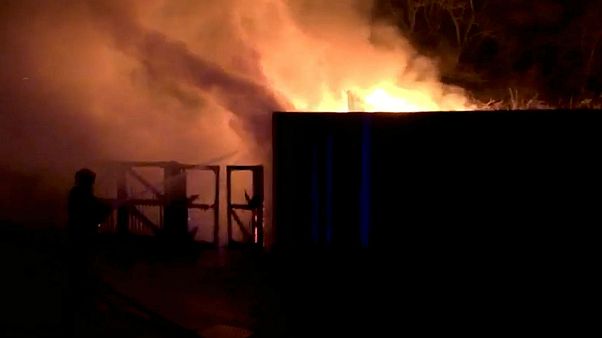 London Zoo to reopen after fire that killed animals London Zoo to reopen after fire that killed animals