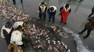 Çinli balıkçılar buz tutan göl üzerinde av sezonunu açıyor