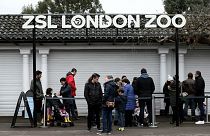 Άνοιξε ξανά ο ζωολογικός κήπος του Λονδίνου