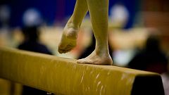 Gymnastics 